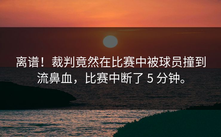离谱！裁判竟然在比赛中被球员撞到流鼻血，比赛中断了 5 分钟。