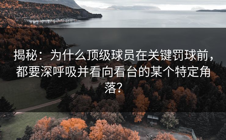 揭秘：为什么顶级球员在关键罚球前，都要深呼吸并看向看台的某个特定角落？